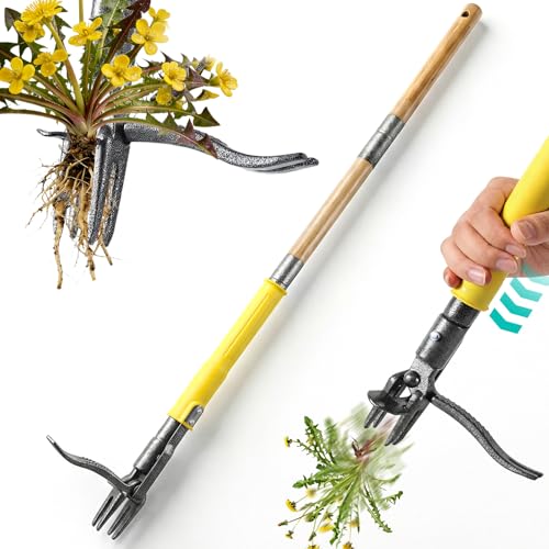 Désherbeur Manuel Extracteur de Mauvaises Herbes, Outil de Désherbage Debout 109 cm à Long...