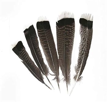 8月20日削除！ BIRDS OF A FEATHER 142 8月20日削除！ BIRDS OF A FEATHER 142 8月20日削除！ BIRDS