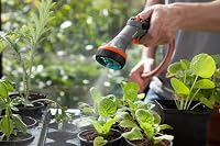 Gardena Comfort Brause für empfindliche Pflanzen: Gartenbrause zur Bewässerung von Blumen, Kräutern und Ansaaten, regulierbar, Frostschutz (18321-20) – Ansicht 2