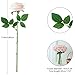 Carlita‘s Blooms 15pcs Blush Roses Artificial Flowers Silk Fake Flowers Realistic Pink Roses Bouquet Long Stemink for Wedding Home Party Birthday Decoration