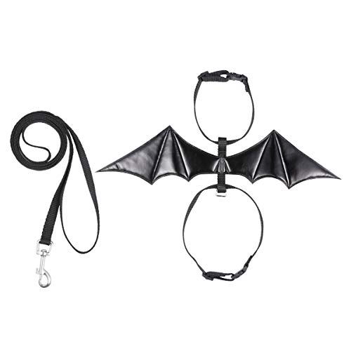 Best dog harness bat wings for 2020 Sugiman Reviews