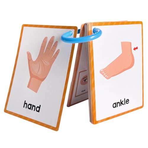 Partes de Cuerpo Flash inglesas - de Aprendizaje de Vocabulario Educativo para niños, Set de de Estudio para niños pequeños, Paquete de de Bolsillo en inglés 15 pie