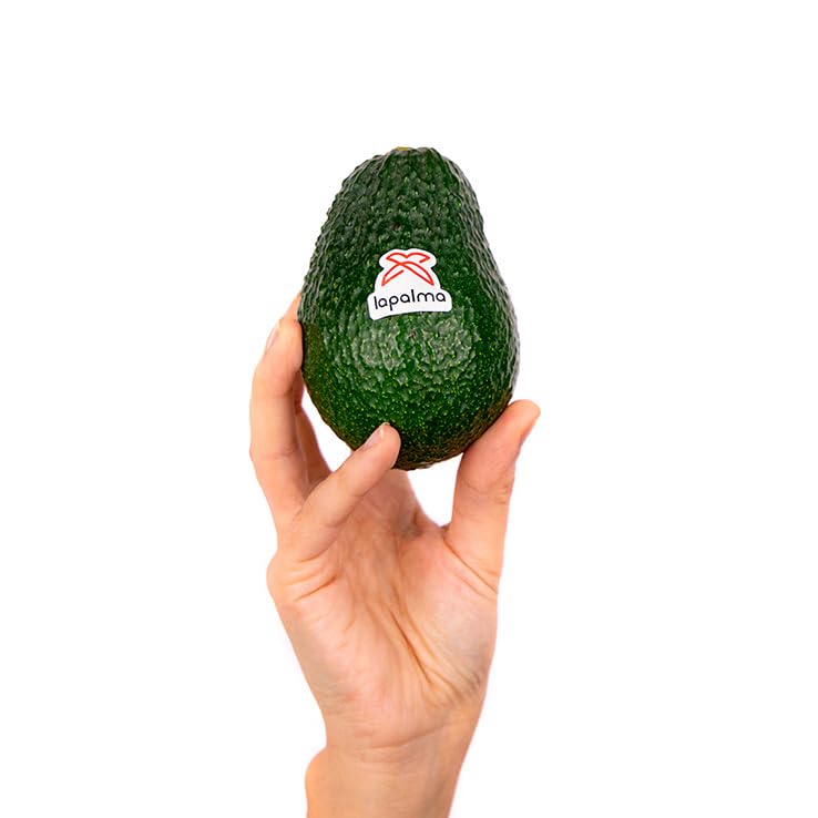 Aguacate Lamb Hass 4 kg, La Parcela, Origen España, Andalucía (Costa Tropical), Comprar Aguacate Fresco, De La Huerta A Tu Casa, Producto de Cooperativa Granada La Palma