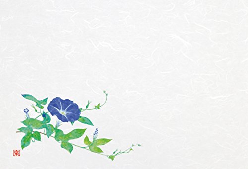 򎽊 a}bg 5e[u}bg_(100)  B-26-97