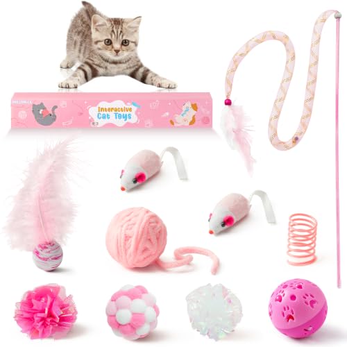 Shop Amazon