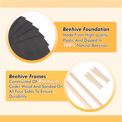 POLLIBEE Bee Hive,10 Frame Bee Hives Boxes Starter Kit, Langstroth Beehives Include 2 Deep Hive Boxes and 1 Medium Super Bee Box, Include Bee Hive Frames and Wax Foundation Sheet. - Image 6