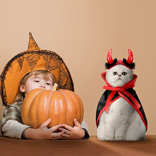 Disfraz Halloween para perros pequeños 4 piezas miniatura 4