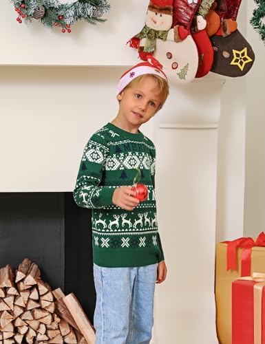 Quenteen Christmas Sweaters Crew Neck Knit Ugly Sweaters Family Matching Outfits 3 41WhyFnaenL. AC