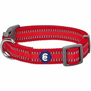 Blueberry Pet Essentials: Collare Regolabile Riflettente Rosso per Cani di Taglia Media
