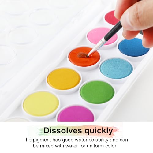 RMIVEGLIA Aquarellfarben Set, Wasserfarben kinder, 12 Farben mit einen Pinsel. Ideal für kreative Projekte für Kinder und Künstler.