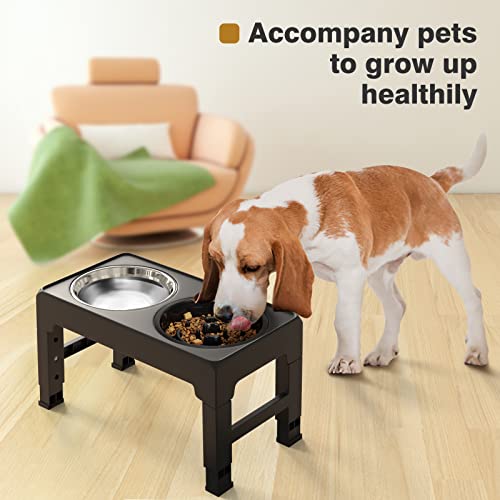 Lewondr Ciotola per Cani e Gatti Regolabile e