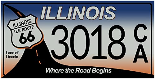 - Set of 10 Metal USA car License Plates - replicas of Real American Plates of The Most Famous American States - MAD