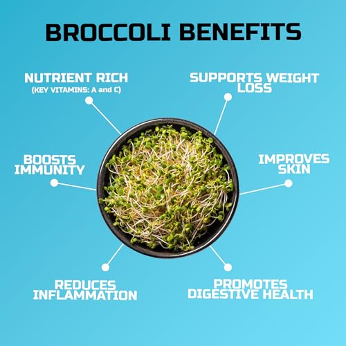 Broccoli Sprouting Seeds | Grown in USA | Non GMO | from Our Farm to Your Table (1/4 Pound)