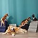 A.FATI Hundetreppe Bett, 4 Stufen Hunderampe aus hochdichtem Schaumstoff für Couch|Sofa|, rutschfeste Haustiertreppe 50cm Hoch für Kleine Hunde - mit Hundespielzeug Seil (grau)