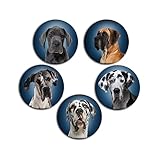 Merchandise for Fans