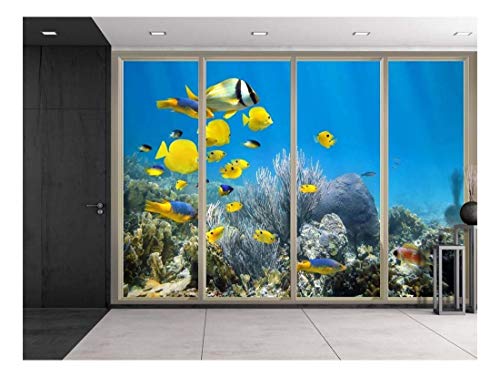 wall26 - Yellow Fish Swimming Over The Coral Reefs Viewed