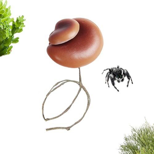 WsOXpC_[  ANZT[,}OlbgvCOEh | Ύ nGgO fR[V | J}L T\ hJ  ybg ƒp p