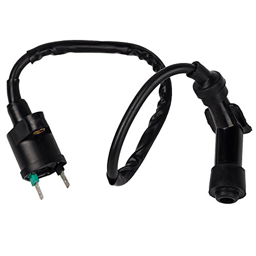 Hifrom Ignition Coil Replacement For Mopeds Scooters Atvs Go Karts Dune Buggy Quad 4 Wheeler Roketa 50 70 90 110 125 Cc Chinese Taotao Sunl #TOP7