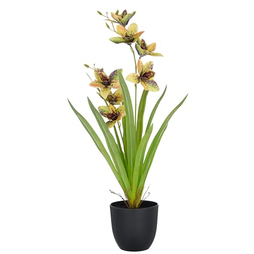 CREATIV green künstliche Orchidee Cymbidium grün-gelb 55cm im Kunststofftopf 11,5x10,5cm I künstliche Orchidee mit grün-gelben Blüten wie echt im Topf I Pflegeleichte & täuschend echte Kunstblumen