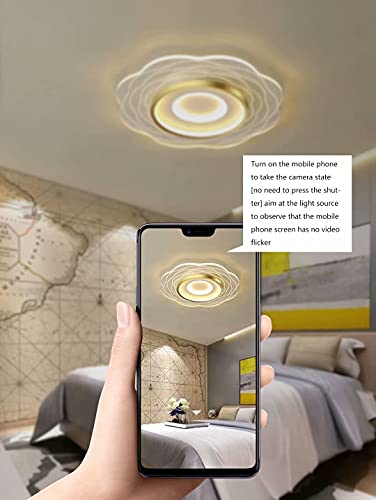 Plafonnier LED moderne à intensité variable avec télécommande pour cuisine - 2