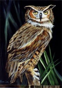 How-to Painting Packet Mr. Owl