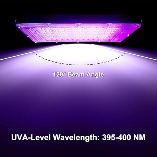 CREATESTAR UV Schwarzlicht Strahler 100W, LED Schwarzlichtlampe IP65 Wasserdicht UV Fluter mit Stecker, Flutlicht für Glow Party, Bar, Disco, Blacklight Party (1 Stück)