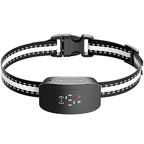 Find The Best Bark Collar For Dog Reviews & Comparison Katynel