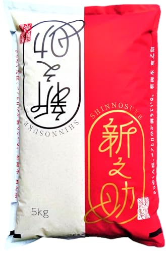 V VY VV ߘa7NY (5kg) ꓙ y󒍌㐸āz