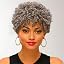 Silver Grey Mixed Black