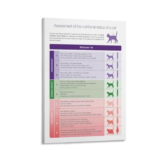 Cat Body Condition Score Poster