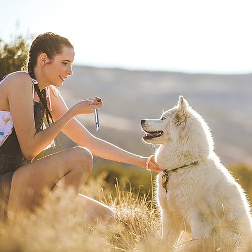 LIANRISES 6 Stück Hundepfeife Rütter Rückruf, Hochfrequenz Lautlos, Hundepfeifen Gegen Bellen, Signalpfeife, Notfallpfeife und 6 Schlüsselbänder