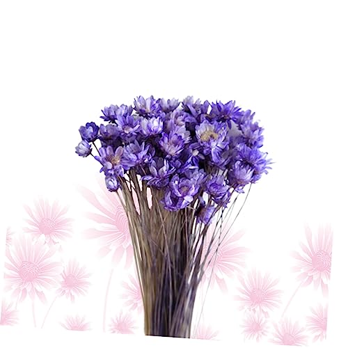 30pcs Mini Flores de Margarita Secas Artificiales miniatura 2