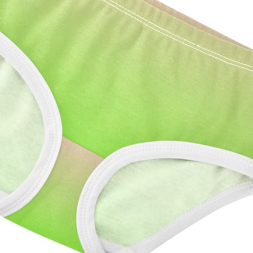 Joisal Durable Toddler Underwear Floral 2t Cotton Girl Panties Cute Blush Pink Bright Green Gradient Briefs Girls Undies4