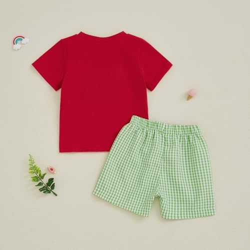 Image of Bonangber Toddler Baby Boy Summer Clothes Fruits Embroidery Short Sleeve T Shirt Plaid Shorts Sets Cute Boys Summer Outfits