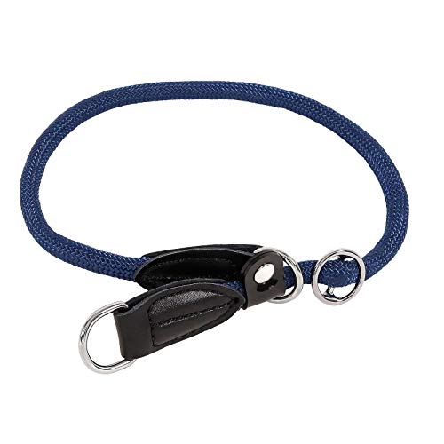 lionto Collare per Cani Collare Retriever Collare da addestramento, Lunghezza 55 cm Blu