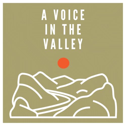 A Voice In The Valley cover art