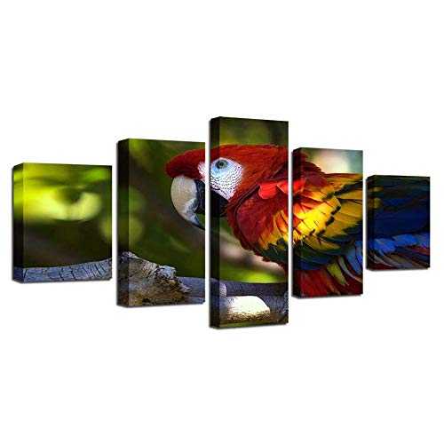 Photo perroquet impression sur toile décoration murale sans cadre