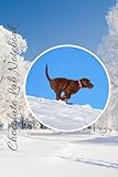  Chocolate Labrador Notebook: The COLOR Notebook For Dog Lovers