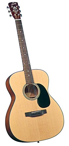 Blueridge BR-43