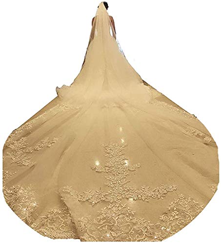 Velo de boda catedral de 5 metros, 1T, encaje, flores y lentejuelas para novia con peine, color blanco, 400 cm Cover