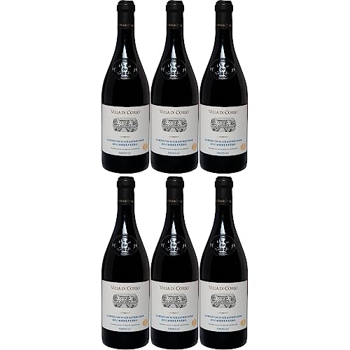 Villa di Corlo Lambrusco Grasparossa di Castelvetro DOC Amabile roter Perlwein süß Rotwein Italien inkl. FeinWert E-Book (6 x 0,75l)