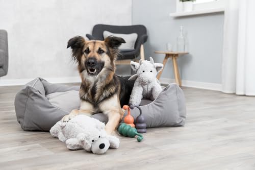 Trixie Drachen-Plüschtier, kuscheliges Hundespielzeug aus weichem Plüsch für Haustiere - Robustes Hundspielzeug, 28 cm, mit Stimme - Drache als Kuscheltier für kleine & große Vierbeiner - 34879