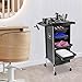 HZOPUTLH 6-Tier Salon Trolley, Drawer-Type Multi-Functional Salon Trolley with Retractable Trays, Hairdressing Shelf with Wheels Rolling Cart for Spas, Homes, Beauty Salons (Black)