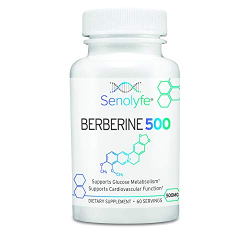 Berberine 500 | 500mg of 97% Berberine HCL - Glucose Metabolism, Cardiovascular Function & AMPK Activator - Anti-Aging & Longevity Support - 60 Servings