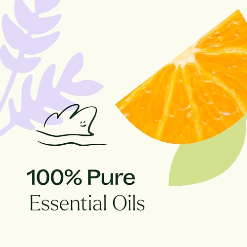 Plant Therapy Meditation Essential Oil Blend 10 mL (1/3 oz) 100% Pure, Undiluted, Calming Aromatherapy for Yoga, Mediation, and Self Care - Image 6