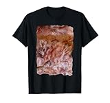 Cave Painting Prehistoric Art
