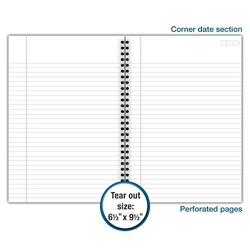 Cambridge Limited Business Notebook, Legal Ruled,6-5/8" X 9-1/2" Page Size, 80 Sheets , Wirebound, Gray (06672) #TOP3