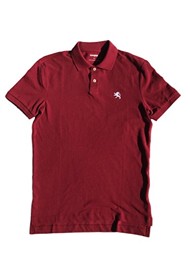 express pique polo
