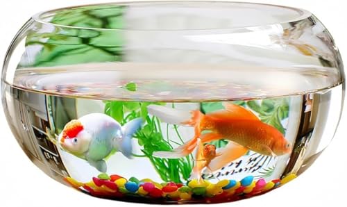 AOBOPO zEPC_KXe ی^bőϋv priEk͔|ECeAj N[jOȒP