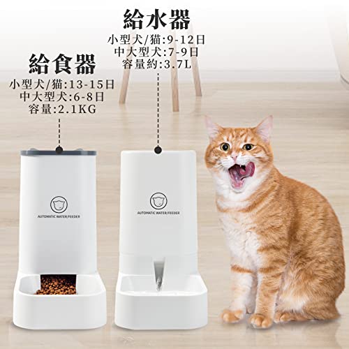 YUCHONG 自動給餌器 猫 中小型犬用 3.7L 多頭飼い ネコ イヌ 自動えさやり器 猫 ペットボウル 重力式給食 自動餌やり機 電気不要 取り外し可能 組み立て簡単 お留守番可能 清潔便利 の商品画像 2
